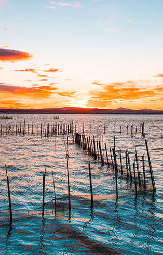 Albufera en Valencia