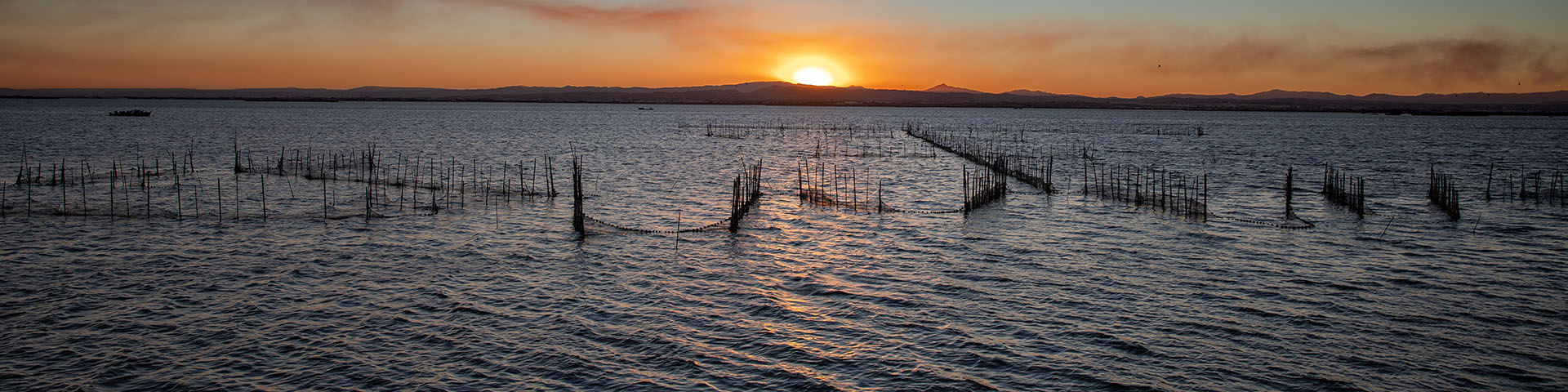 Albufera en Valencia