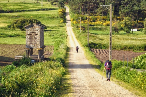 Peregrinos no Caminho de Santiago para Fisterra e Muxía