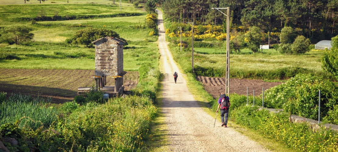 Peregrinos no Caminho de Santiago para Fisterra e Muxía