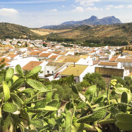 Panorámica de Algodonales (Cádiz, Andalucía)