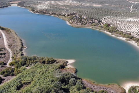 Zóñar Lagoon. Lagunas del Sur de Cordoba Natural Reserve