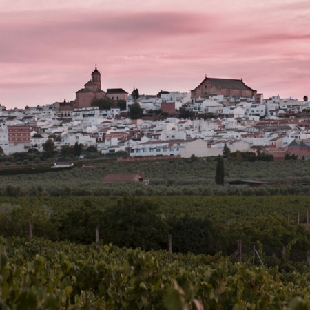 Panoramic view of Montilla (Cordoba, Andalusia)
