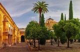 Cortile degli Aranci della Chiesa Cattedrale di Cordova