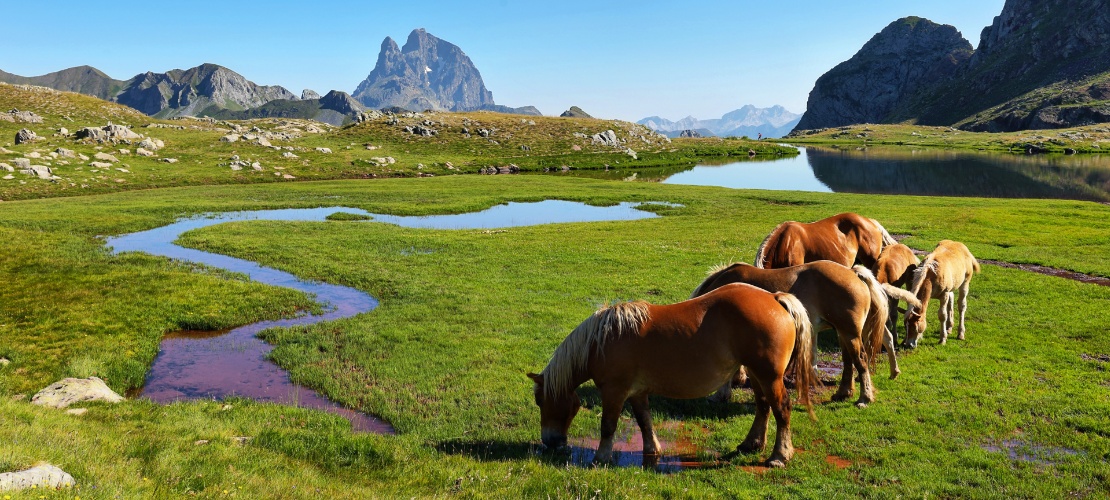 Лошади у ледникового озера Анайет, между Канфранком и Формигалем, Уэска