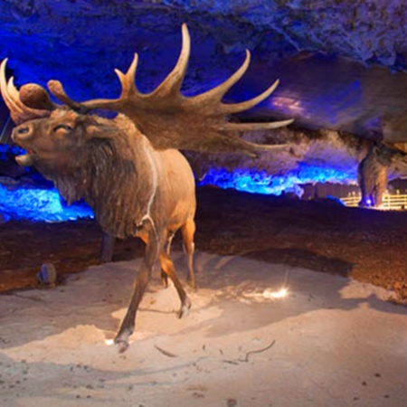Cuevona de Avín. Asturias.
