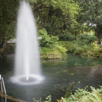 ヒホンの大西洋植物園