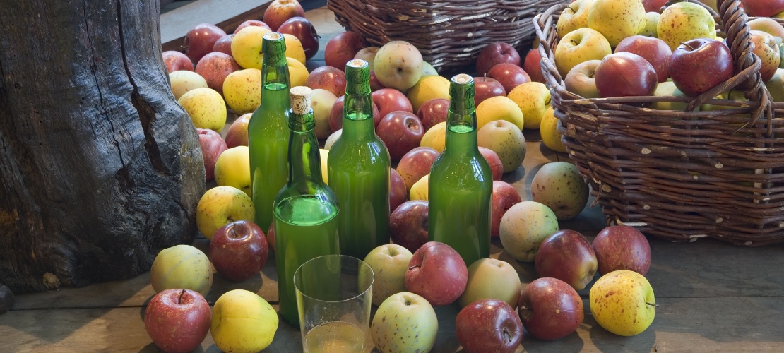 Musée du cidre. Nava. Asturies