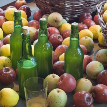 Musée du cidre. Nava. Asturies