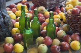 Musée du cidre. Nava. Asturies