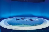 プエンテ・ビエスゴ温泉療養リゾート