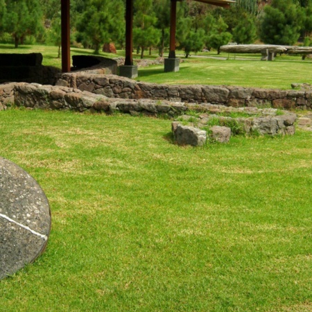 Jardin botanique de Viera y Clavijo