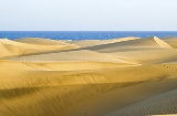 Plage de Maspalomas dans l’île de Grande Canarie (archipel des Canaries)
