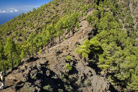 Park Narodowy Caldera de Taburiente