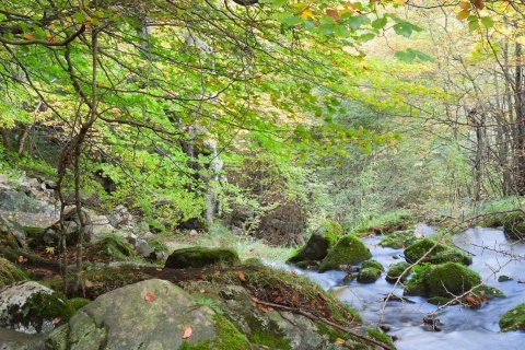 Naturpark Collados del Ason, Kantabrien