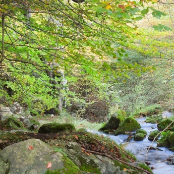 Parque Natural los Collados del Asón, Cantabria