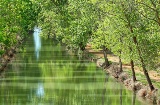 Canale di Castiglia all'altezza di Medina de Rioseco, Valladolid