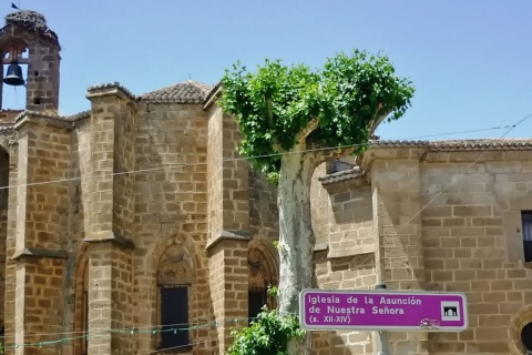 Kościół Iglesia Mayor de Nuestra Señora de la Asunción El Barco de Ávila