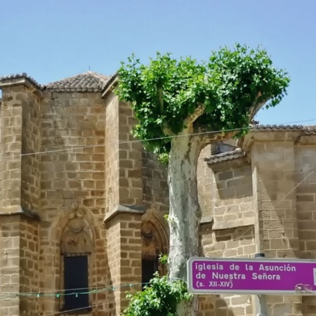 Iglesia Mayor de Nuestra Señora de la Asunción. El Barco de Ávila