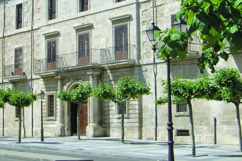 Diocesan Museum, Palencia