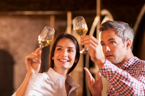 Turistas degustando vino en bodega