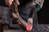 Artisan travaillant une épée dans un atelier de Tolède