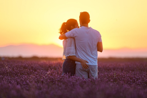 Pareja en los campos de lavanda de Brihuega, Guadalajara