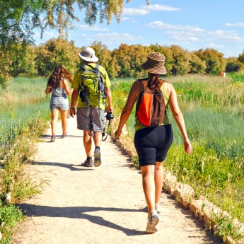 Turistas no Parque Nacional das Tablas de Daimiel, em Ciudad Real, Castilla-La Mancha