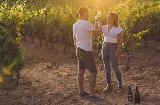 Tourists in the vineyards of the Almansa Wine Route