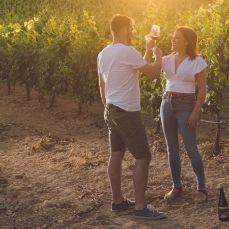 Turistas em vinhedos no roteiro do vinho Almansa