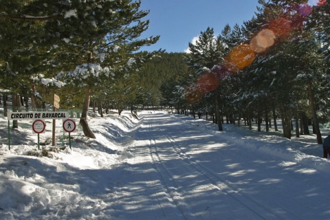 Puerto de la Ragua ski resort (Cross-Country)