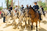 Jerez de la Frontera Horse Fair