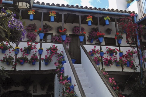 Festival de los patios de Córdoba