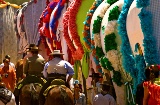 Romería del Rocio