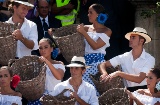 The grape harvest in Jerez