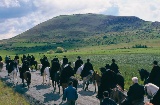 La Caballada