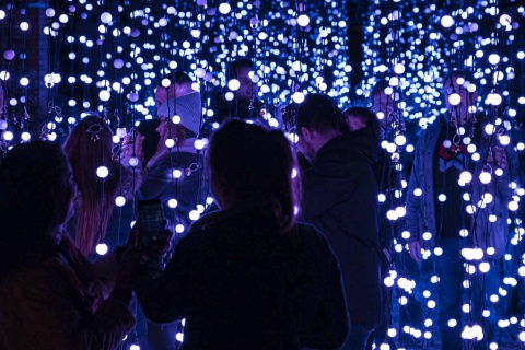 Jardim de luzes de Natal em uma edição anterior em Berlim