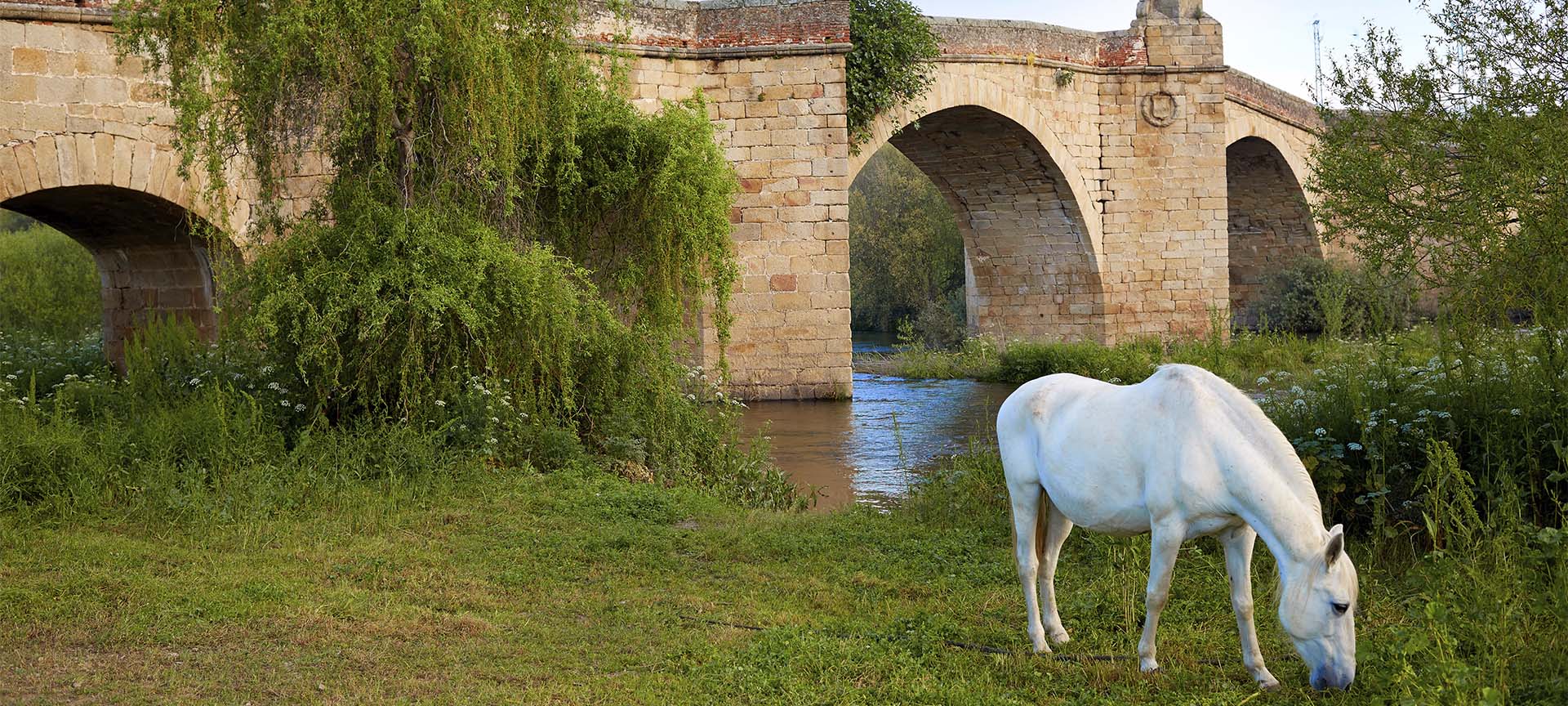 Alte Brück von Galisteo, Cáceres (Extremadura) Alte Brück von Galisteo, Cáceres (Extremadura)