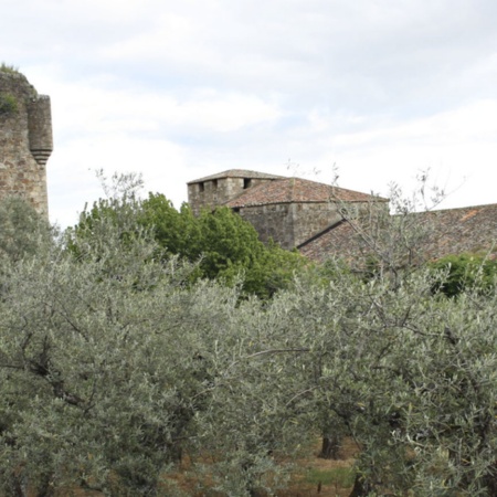 Valverde de la Vera (Cáceres, Estremadura)