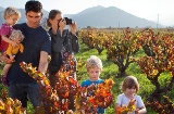 Visite en famille d’un domaine sur la route du vin d’Alicante