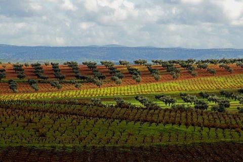 Landschaft an der Wein- und Sektstraße Ribera del Guadiana