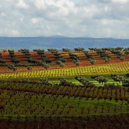 Paysage de la route du vin et du cava Ribera del Guadiana