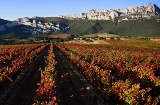 Landschaft entlang der Weinstraße Rioja Alavesa