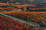 Landschaft an der Weinstraße La Rioja Alavesa