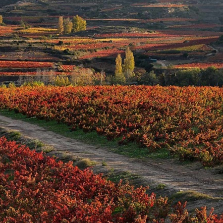 Paysage de la route du vin de la Rioja Alavesa