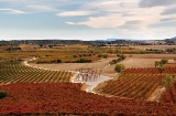 Paysage de la Route du vin Somontano