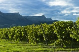 Paysage de la route du vin du Txacoli