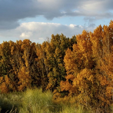 Les alentours de Batres, dans la région de Madrid