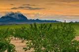 View of El Almorchón. Cieza. Murcia.