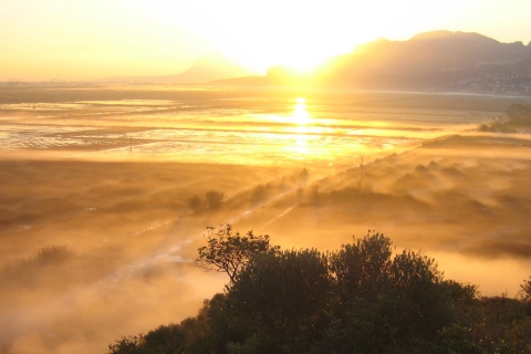 Marjal Pego-Oliva Natural Park